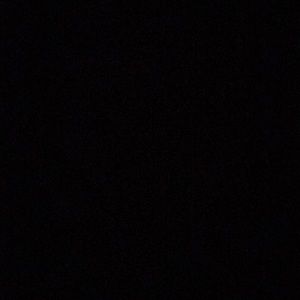 Meet your Posher, Marley